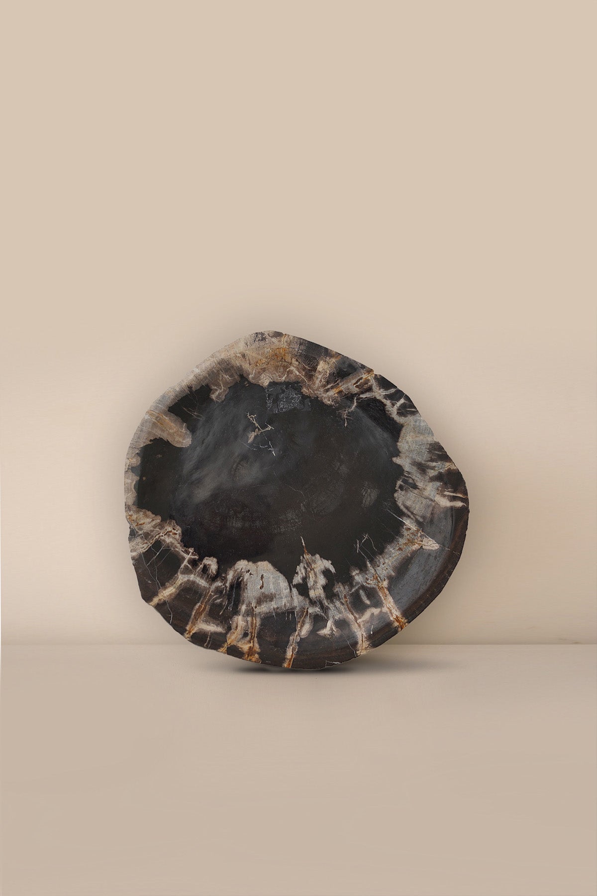 Mrs Lilli Petrified Wood - Large - LO3