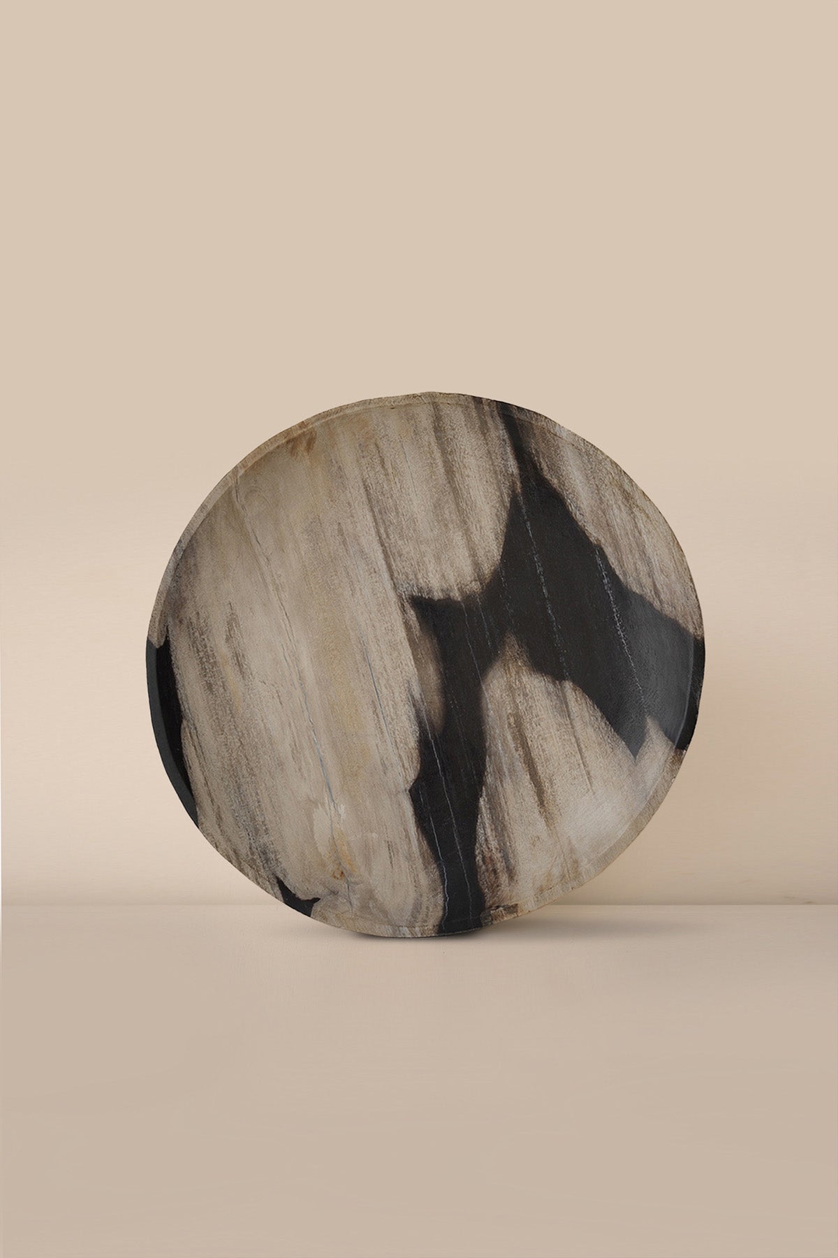 Mr Tom Petrified Wood - Large - LR2