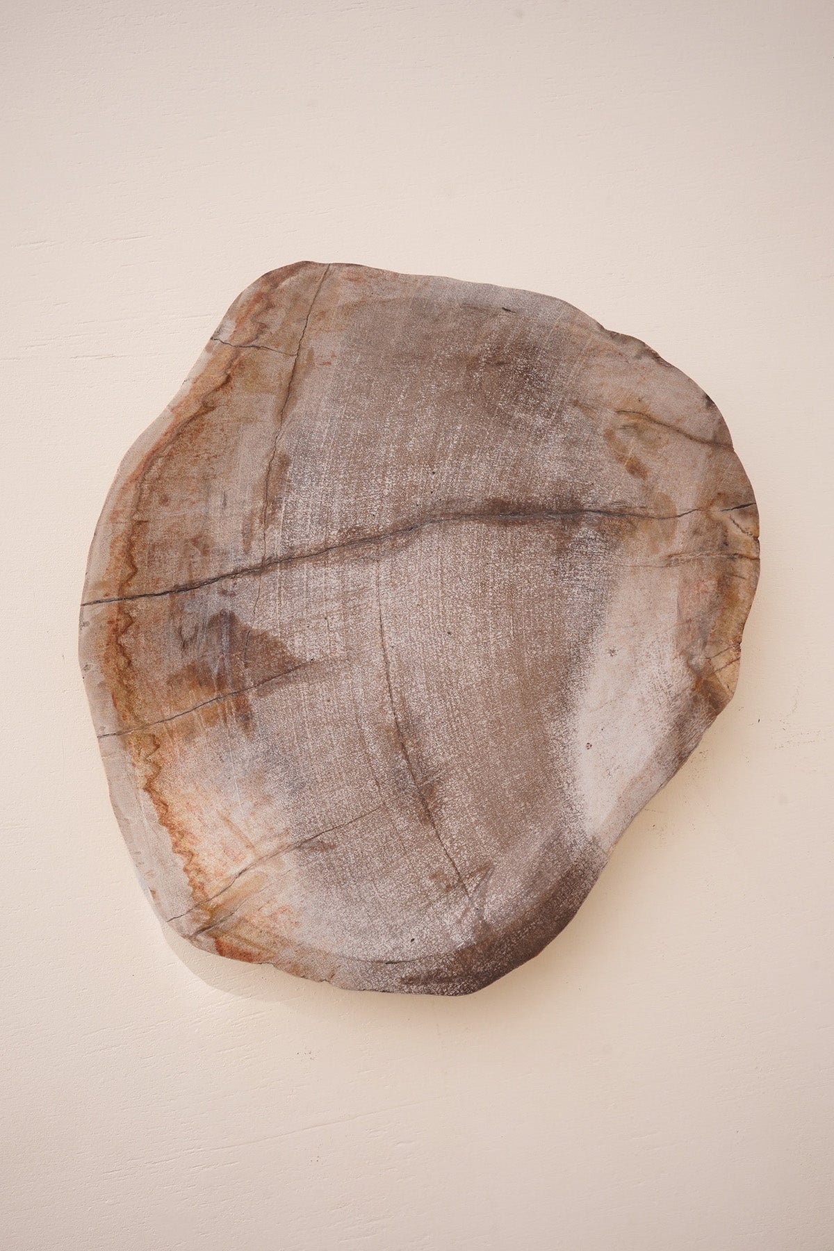 Mrs Lilli Petrified Wood - Small - SO2