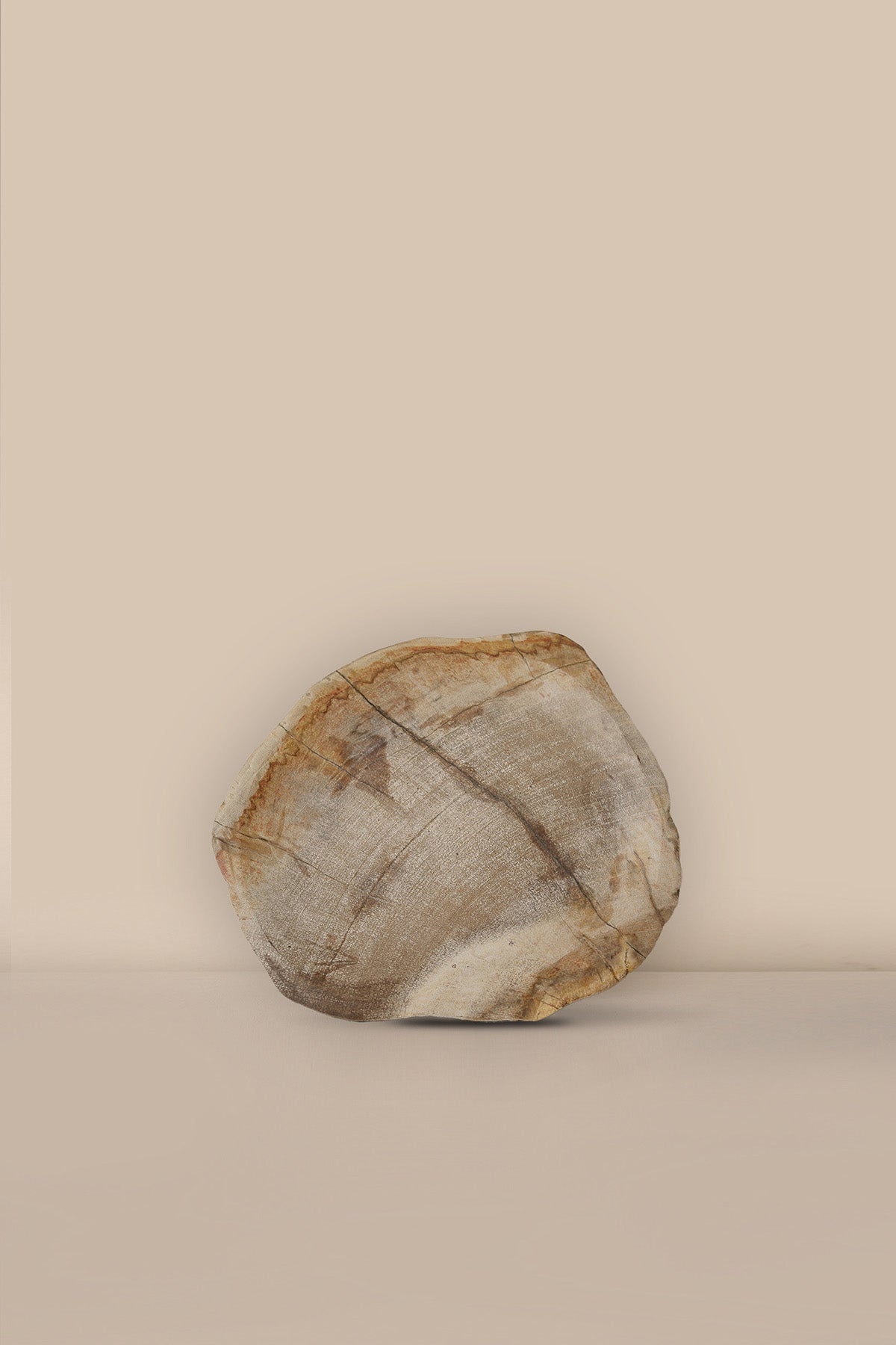 Mrs Lilli Petrified Wood - Small - SO2